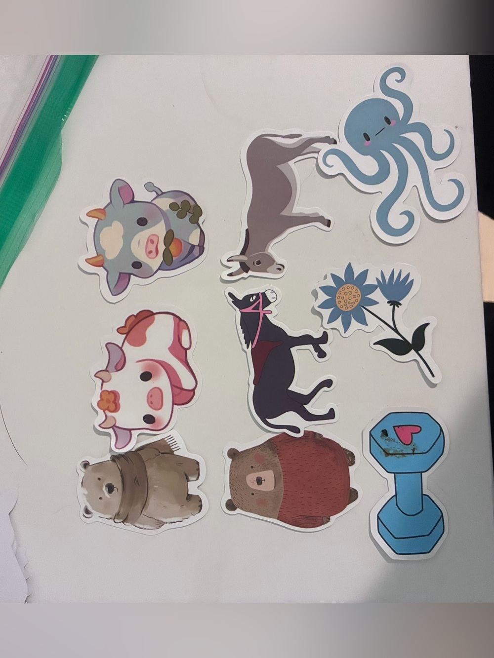 STICKERS! - Picture 10 of 13